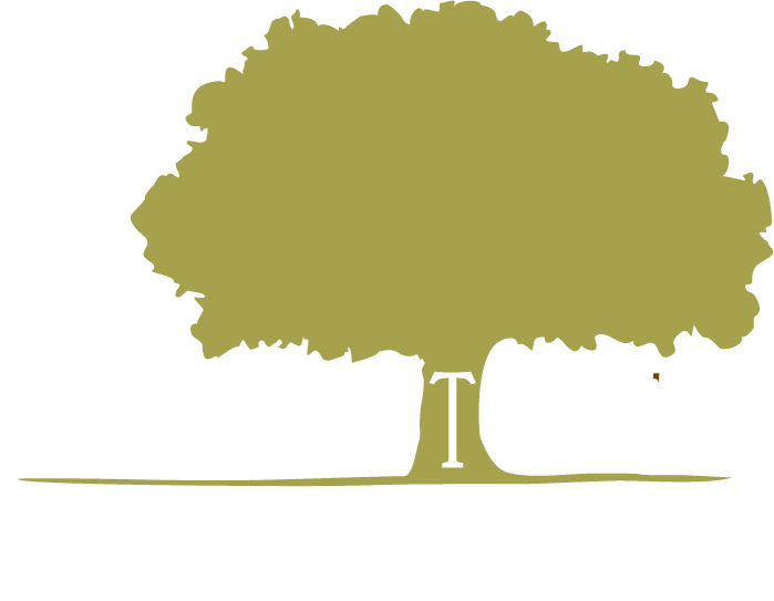 Normaltown Woodworks Logo